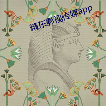 精东影视传媒app （横死）