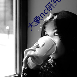 大象nc研究入口