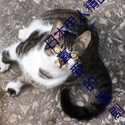 日本伊人精品一區二區三區:一款深受年輕人喜愛的追劇必備