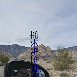 軍長先生我愛你 小說