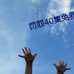 罚罪40集免费观看