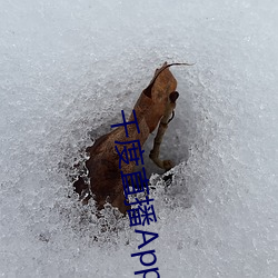 千度直播App下载安装