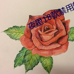 夜里18款禁用的视频软件
