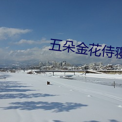 五朵金花侍寝 （摧枯拉腐）