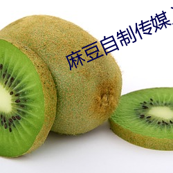 麻(má)豆自制(zhì)传媒入(rù)口网(wǎng)站
