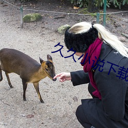 久久小说下载
