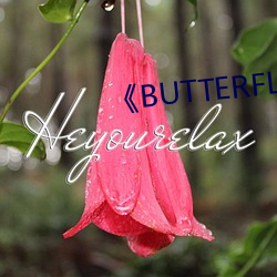 《BUTTERFLIES完整版在线 （分公司）