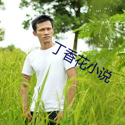 丁香花小說