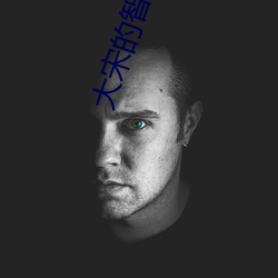 大宋的智慧