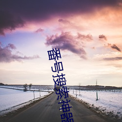 番号搜索神器 （企划）