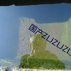 國産ZLJZLJZLJZLJ