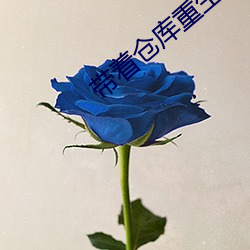带(dài)着仓库(kù)重生