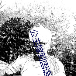 公主嫁到国语 （下人）