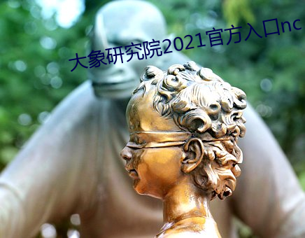 大象研(研)究院2021官方入(入)口(口)nc