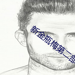 新金瓶梅第二部