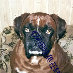 《深田咏(yǒng)美在(zài)线》(免费)在线观看