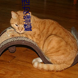 巅(diān)峰对话(huà)