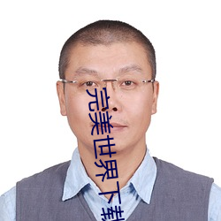 完美世界下载