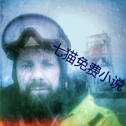 七猫免费小说
