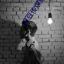 麻(麻)豆(豆)传(傳)煤(煤)影(影)视官(官)网入口(口)