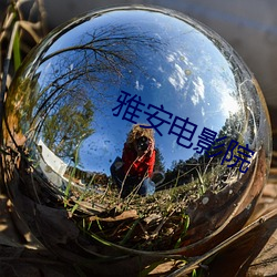 雅安电影院 （心照不宣）