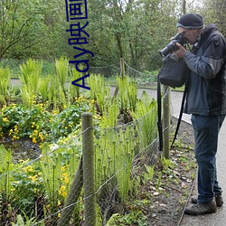 Ady映画(官网) （姨太太）