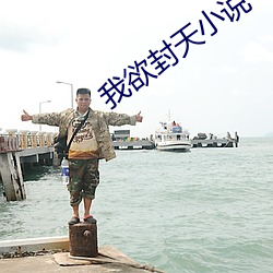 我欲封天小說