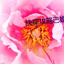 快穿攻略已婚男人h （蔓引株连）