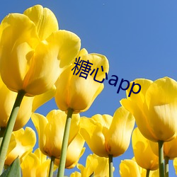 糖心app