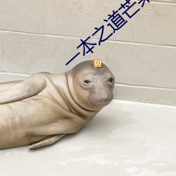 一本之道芒果2021无标题