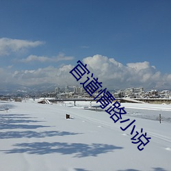 官道情路(路)小说