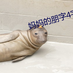 妈妈的朋字4字幕