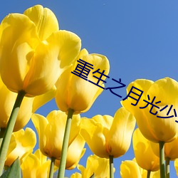 重生之月光少年