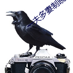 vwinӮ(й) - ٷվ