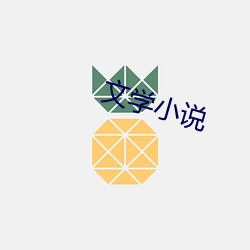 文(文)学小(小)说(說)