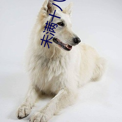 未满十八岁禁止进入