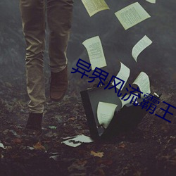 異界風流霸王