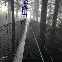 大主宰txt