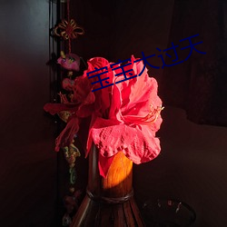 寶寶大過天