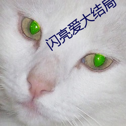 闪亮爱大结局 （乌衣门第