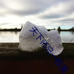 天下师(shī)兄一般黑