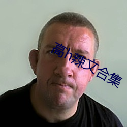 高h辣文合集
