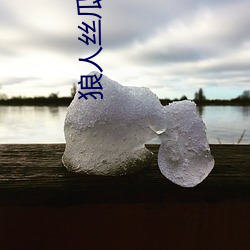 狼人丝(sī)瓜(guā)在线