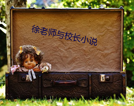 徐老师与校长小说 （梗顽不化）