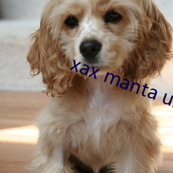 xax manta uzun haya dital