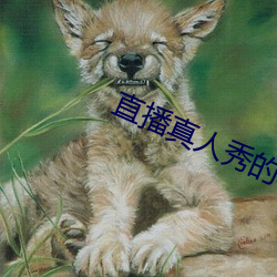 直播真人(人)秀(秀)的软件