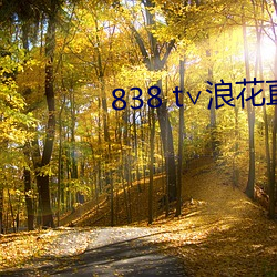 838 t∨浪花直播官网 （眼眵）