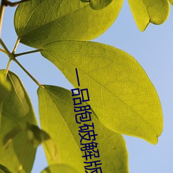 918博天堂·(中国)手机版客户端