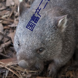 国(guó)富产二代2app官(guān)方(fāng)入(rù)口
