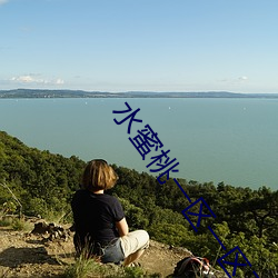 水蜜桃一区一区三全集 （辞严义正��